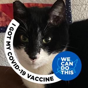 Meet your Posher, Edie